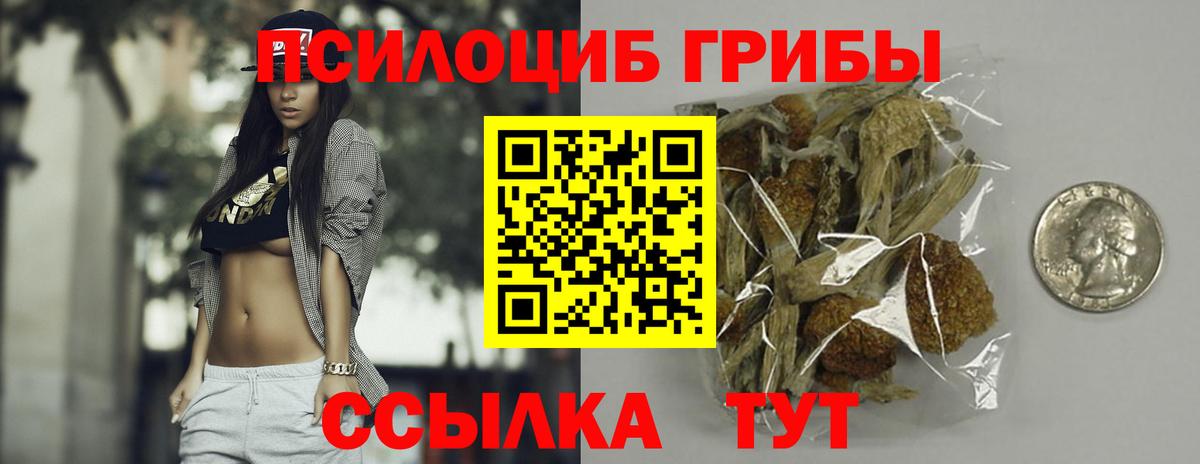 цена   Вход с VPN  Чапаевск  Галлюциногенные грибы Psilocybine cubensis 